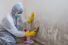 Trusted Dunean, SC Mold Prevention & Removal  Experts